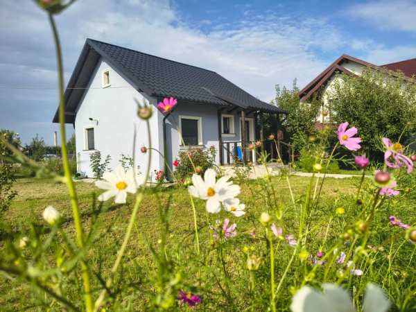 Casa de închiriat/ vânzare, 46 mp Lisaura