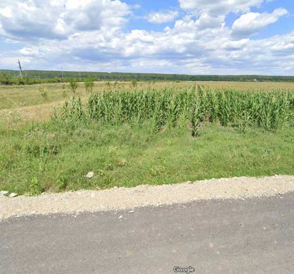 Teren de vanzare.3200mp Documente la zi.