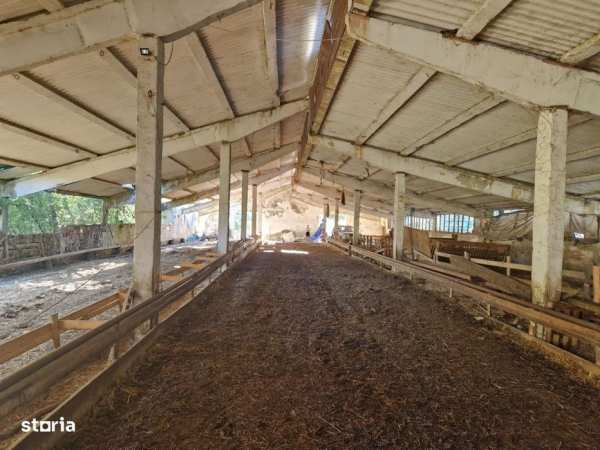 Hala din beton + teren 2.596 mp – Jichisu de Jos