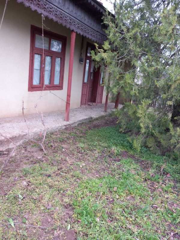 Casa batraneasca cu 2500 mp Ulmu Jud. Braila