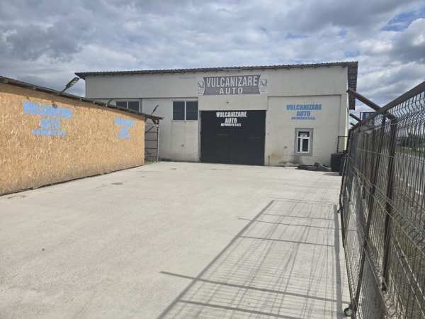 Hală și teren de vânzare,Corabia