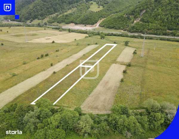 Teren Voroneț | Gura Humorului | Suceava - Bucovina - 2832mp