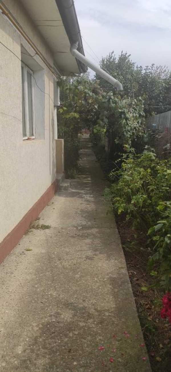 Casă bătrânească + teren