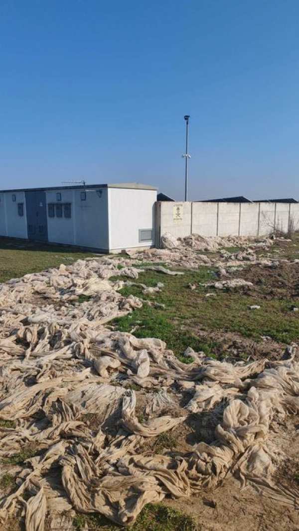 teren intravilan agricol Titu-Salcuta 2,13 Ha