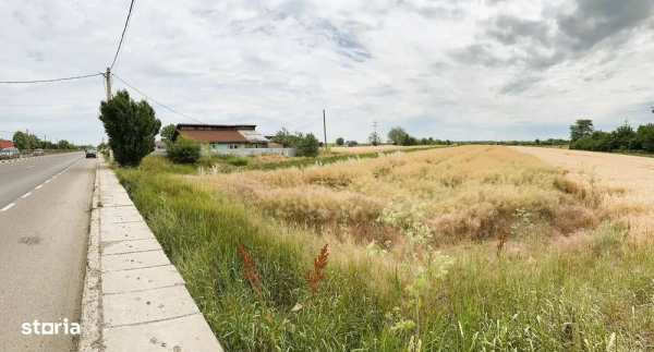 Teren intravilan de 5.000 mp, Călugăreni