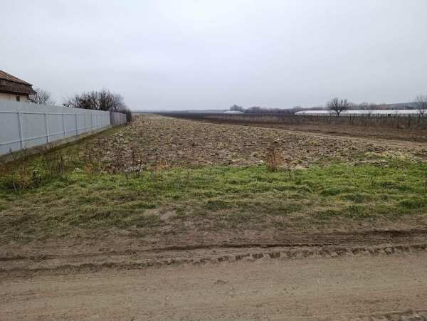 Vând teren Munteni Jud Galați