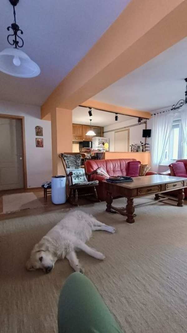 Casă 4 camere Voluntari