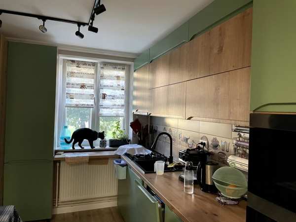 Inchiriez apart 2 camere ˝cat friendly˝ zona foarte verde si linistită