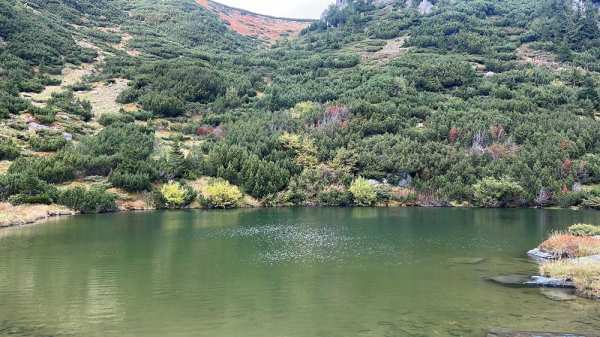 Teren Camping si Tabere PLATOU BUTA 1 ha