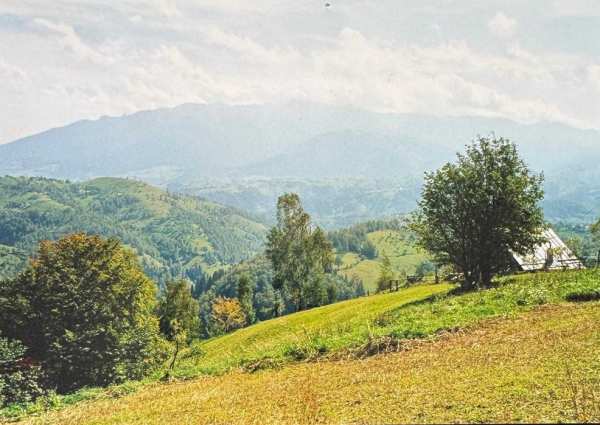 Teren intravilan sat Pestera