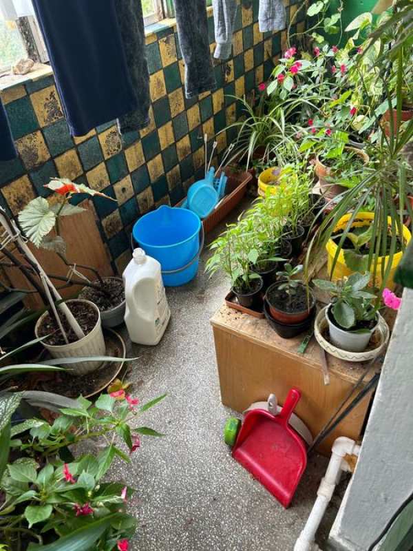 Vand apartament 3 camere