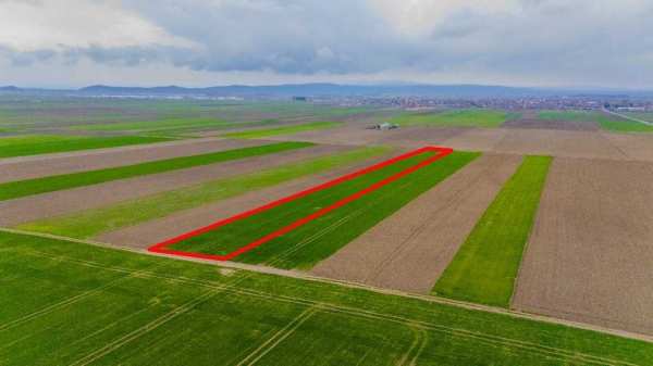 Comision 0 %, teren agricol extravilan Prejmer