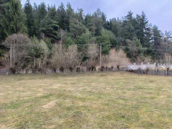 Teren Intravilan 719 mp la liziera pădurii – Întorsura Buzăului