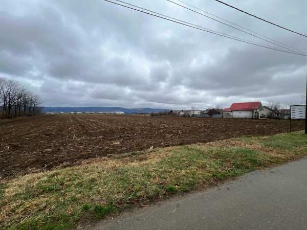 Teren Letea Veche, sat Rusi-Ciutea