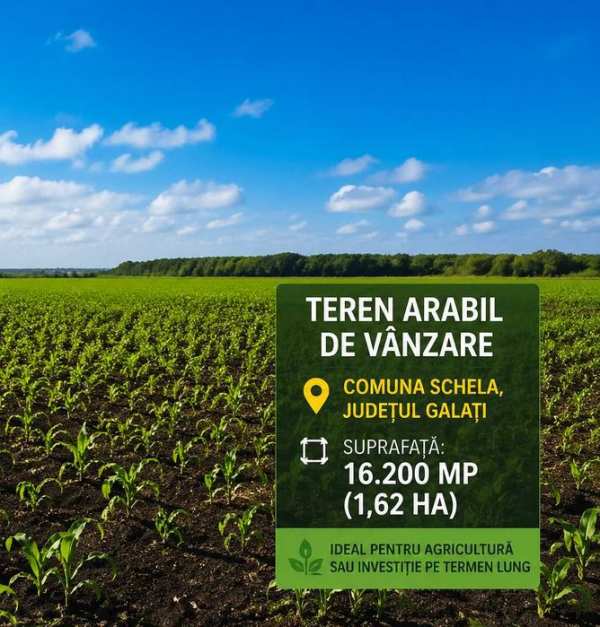 Teren arabil de vânzare – Schela, Galați – 16.200 mp TERENUL NU ESTE ARENDAT