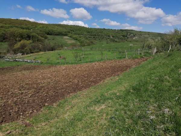 Teren de vanzare Valea Girboului