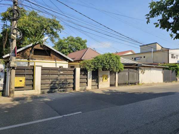 Case centru, casa palas, zona centrala