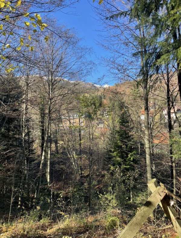 Vand teren 311 mp Sinaia- cu proiect + Autorizatie de Construire