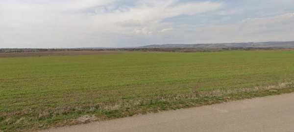 Teren Intravilan 1.73 Ha Bucov lângă Casa Timiș |  Deschidere 70m la asfalt | Ideal Rezidențial sau Comercial/Industrial