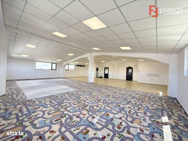 Spatiu pentru birouri/activitati – 190 mp in Sacalaz - Curte privata