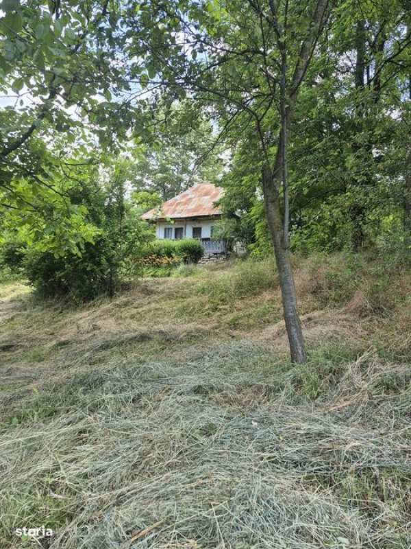 Vând teren Pausesti,intr-o zona pitoreasca