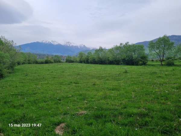 Vand teren intravilan zarnesti