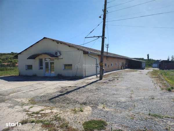 Hala industriala de vanzare sau inchiriere– Misca - judetul Bihor - 97