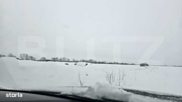 Teren extravilan, 410000 mp, investitie, Giroc!