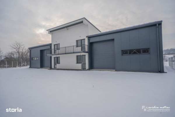 Hala singur la curte, langa autostrada