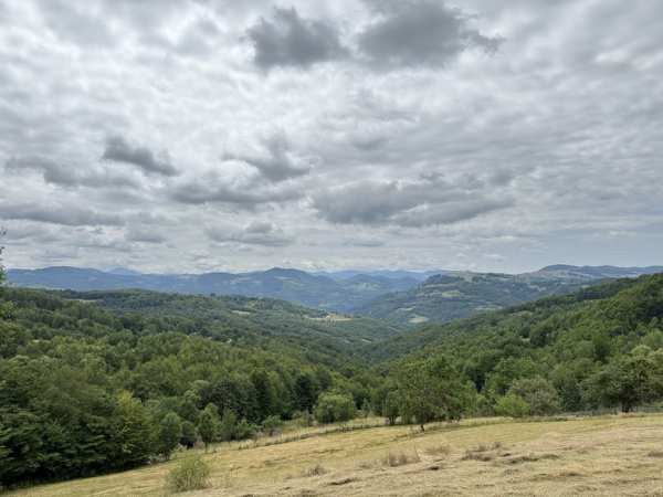 vand teren la munte Bulz Munteni 10.5 hectare