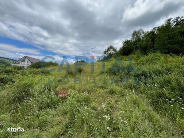 Teren Intravilan Constructii Podis-Margineni