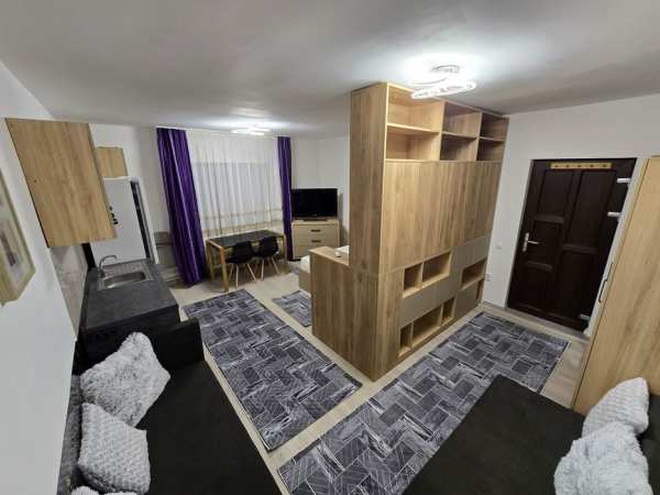 Garsoniera / studio de inchiriat în casa/vila zona case Banat