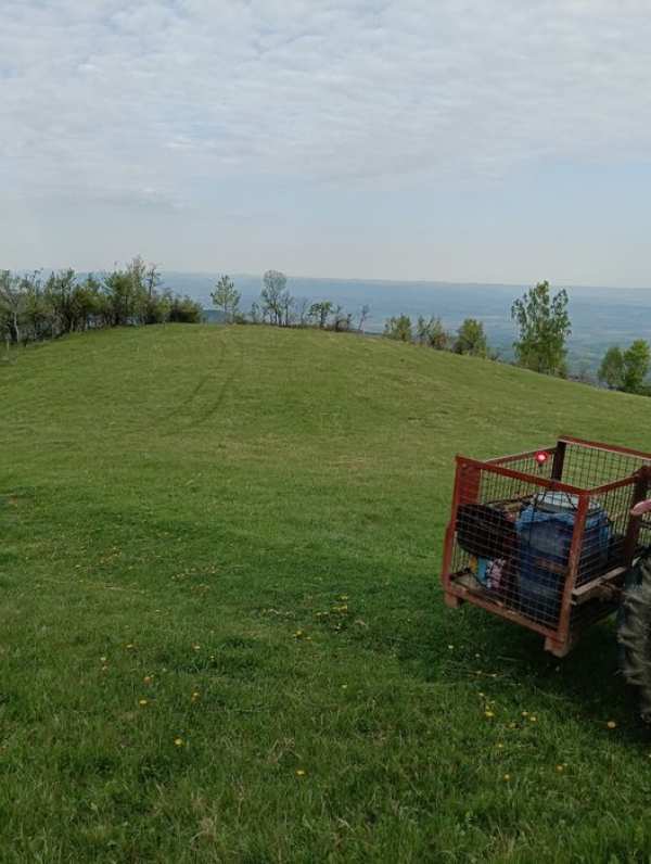 Vând teren în satul Târsa