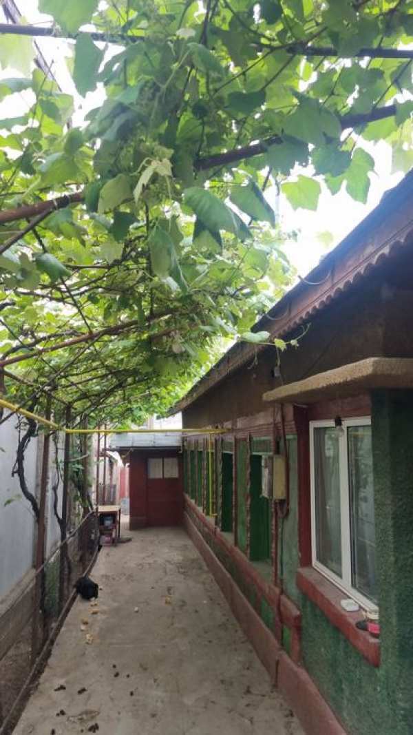 House for rent in Fundeni
