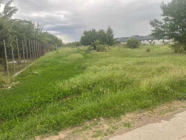 Teren 5000 mp, Tamasi Corbeanca