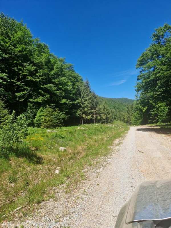 Vând teren în zona de munte