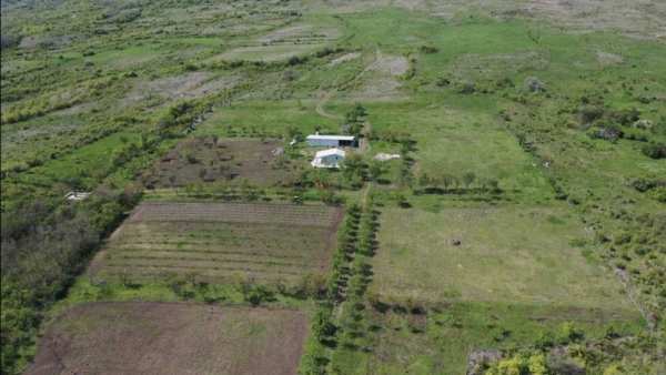 36600 MP ideal pentru pensiune,fermă,livada Casa 76mp+anexa 144 mp