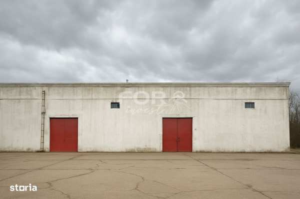 Depozit de inchiriat Paleu