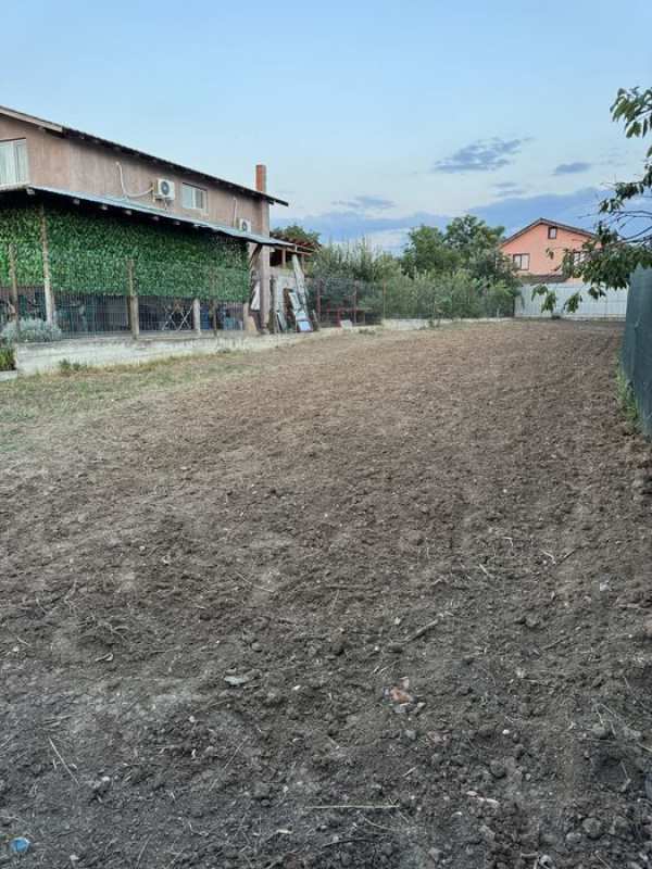 Teren Moara Vlăsiei 346MP curat LIBER CONSTRUIBIL
