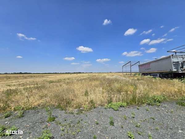 Teren intravilan 564 mp – Zimandcuz