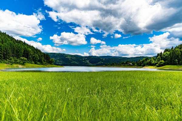 6250 MP Teren cu casa in Bicaz Izvorul Alb
