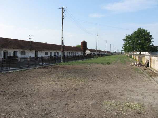 Complex 7 clădiri + teren 11500mp Nădlac (cf persoana fizica)