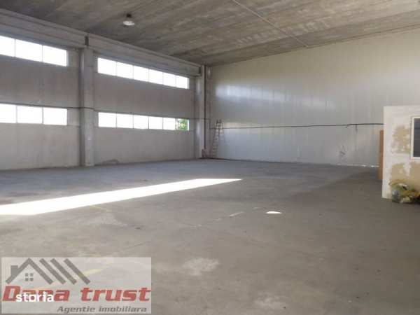 Calea Lugojului HALA - 430 mp - Mica productie-Depozitare - 1750 euro