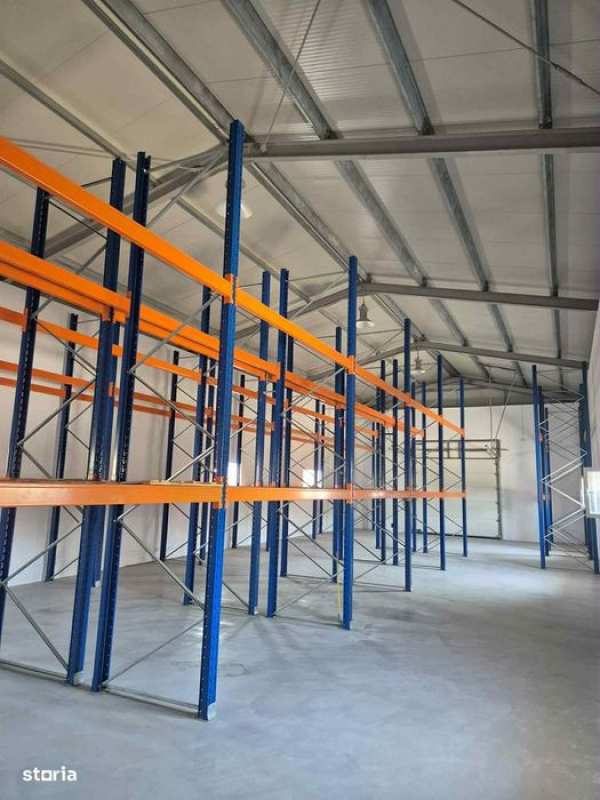 Hala 300 mp. + 80 mp birouri, 1000 mp teren, mobilată - Catamarasti