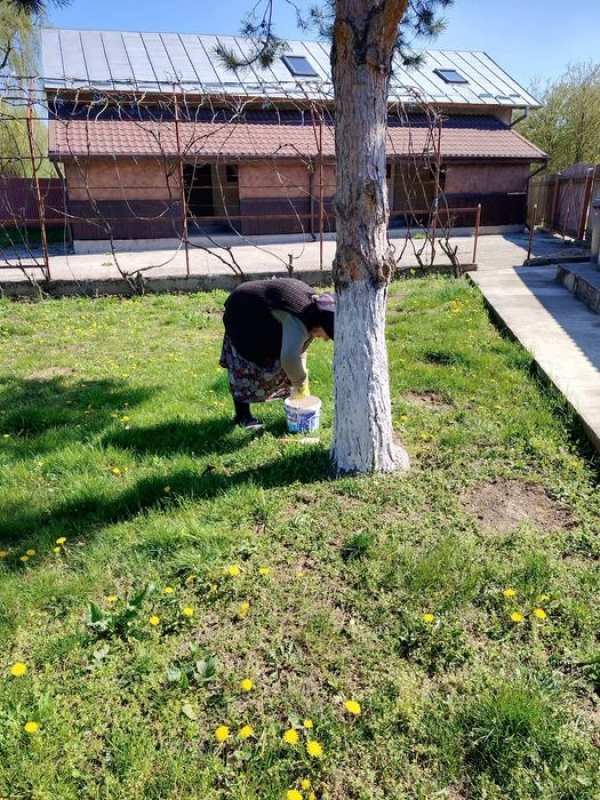 Vand casa P+M, Contesti DB ( Proprietar )