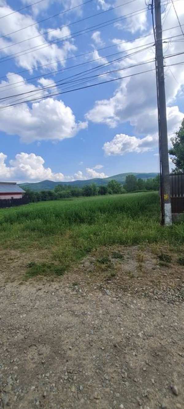 URGENT: Teren intravilan Parscov Buzau