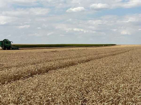 Teren agricol 6 hectare la canal de irigatii functional