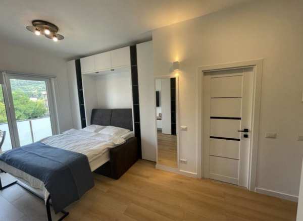 Central Apartament 1 camera regim hotelier