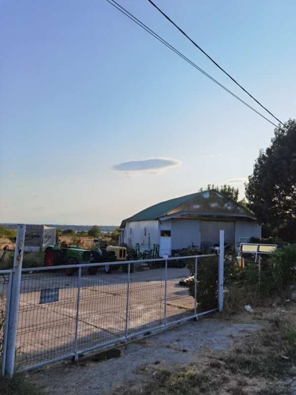 Închiriez hală Șimian la Drumul European 70