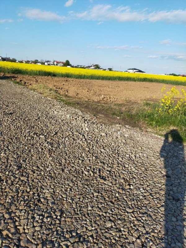 Teren intravilan  Cernica  -Bâlăceanca
